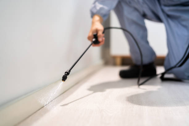 Licensed Pest Control service in Taos, NM - Show Me Pest Control